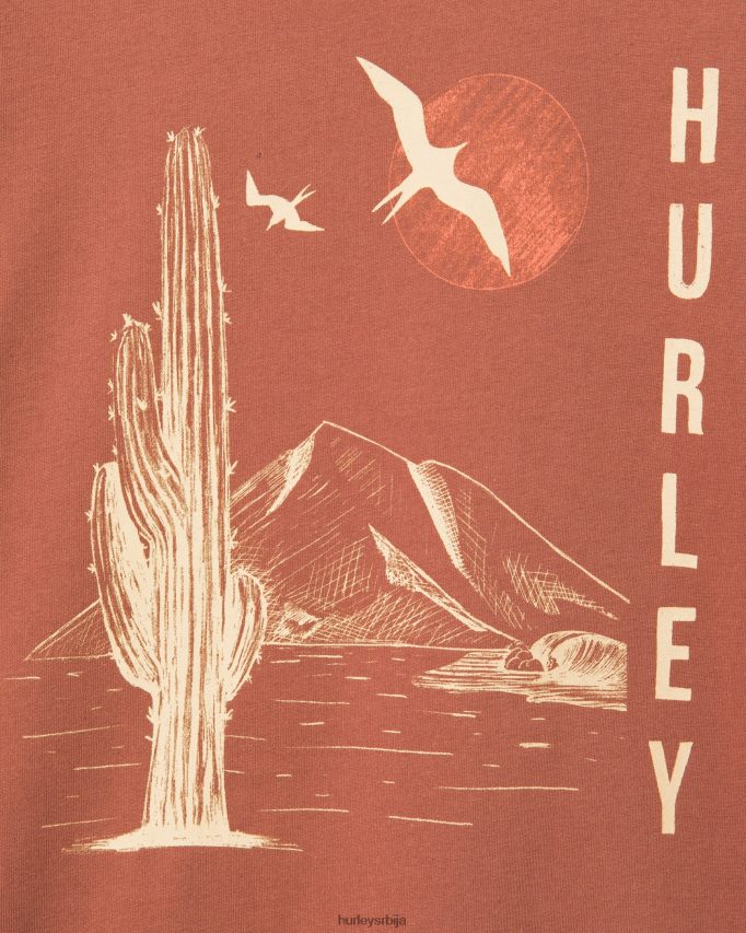одећу ср Hurley мушкарци Свакодневно истражите време за ручак у снивој мајици сионска рђа 46R660358